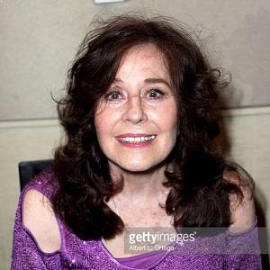 Which sherry for christmas cake